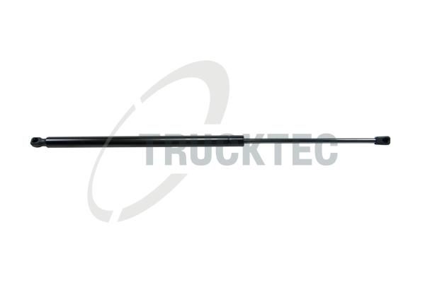 Gasfeder, Koffer-/Laderaum