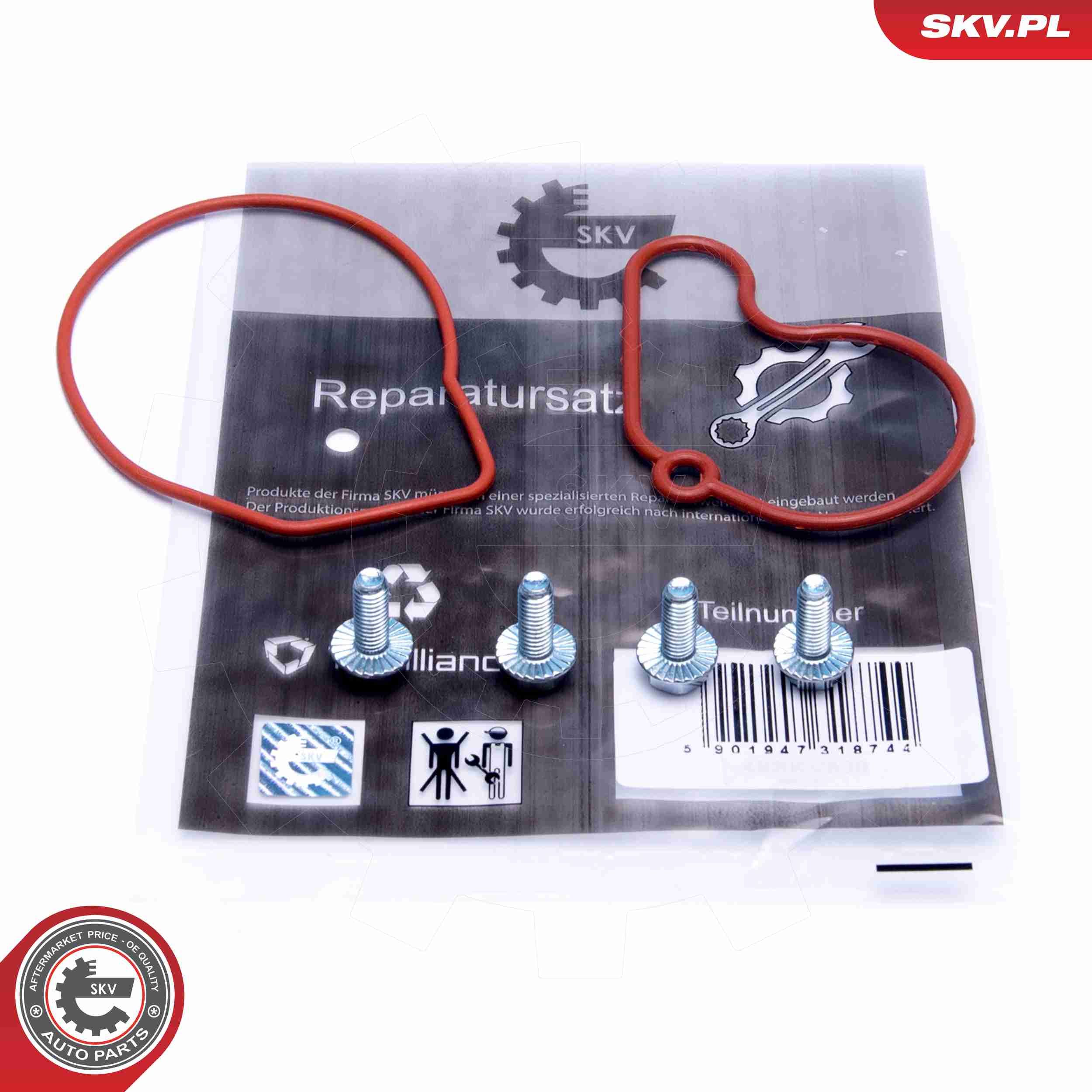 ESEN SKV 18SKV807 - Reparatursatz, Unterdruckpumpe (Bremsanlage)