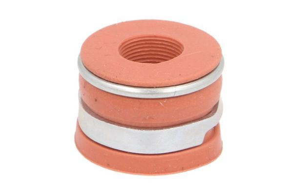 Dichtring, Ventilschaft