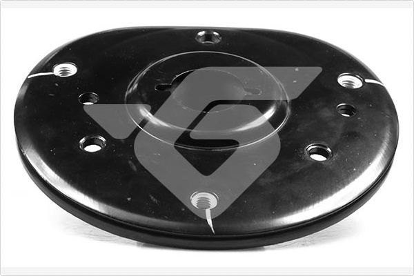 Federbeinst&uuml;tzlager