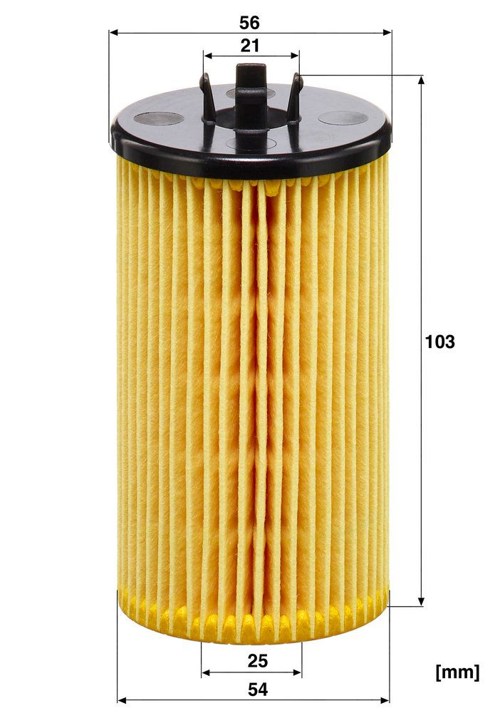 alyvos filtras
