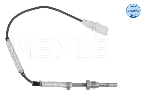 Sensor, Abgastemperatur