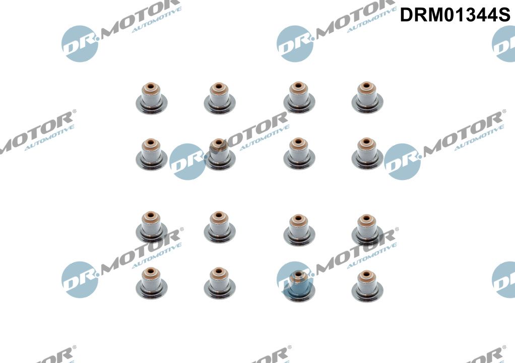 Dr.Motor Automotive DRM01344S - Dichtungssatz, Ventilschaft