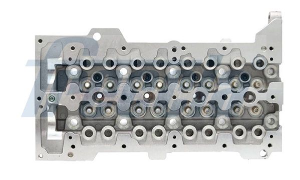 FRECCIA CH17-1019 Cylinder Head