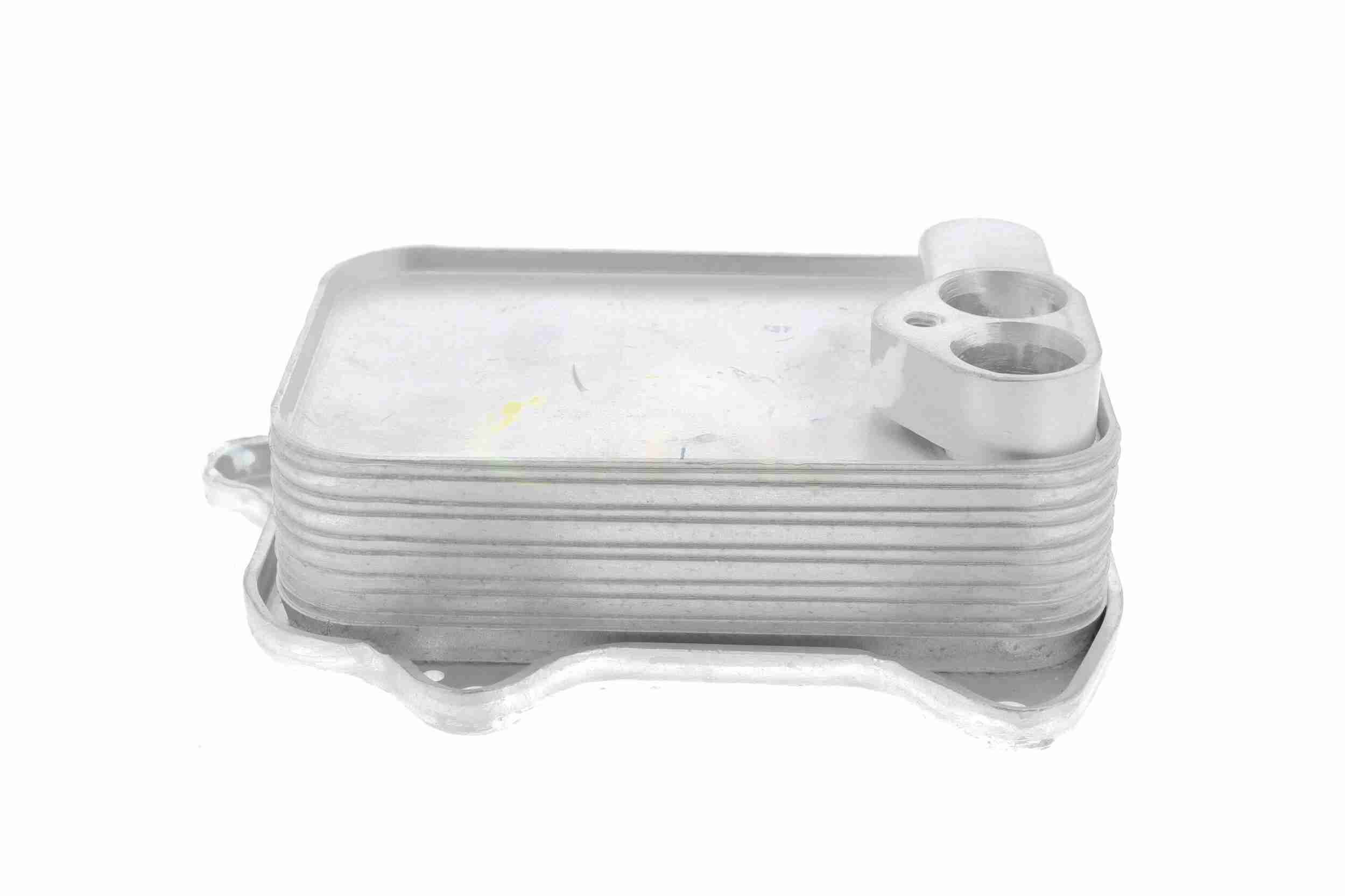 &Ouml;lk&uuml;hler, Motor&ouml;l