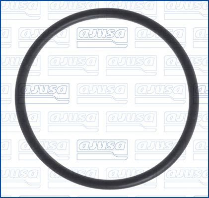 Junta anular, manguera de admisión (caja de filtro de aire)