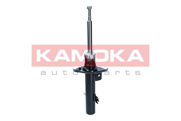 Shock Absorber 2001282