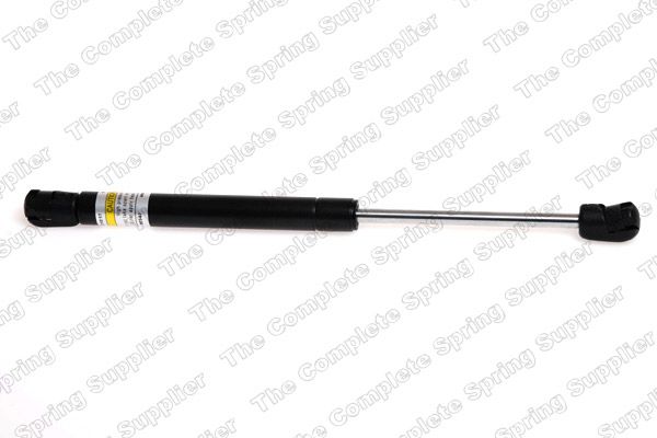 Gasfeder, Koffer-/Laderaum