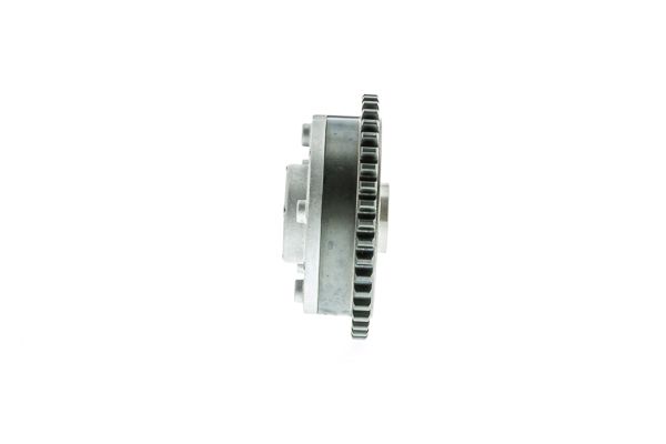 Stellelement, Exzenterwelle (variabler Ventilhub)