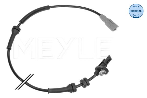 Sensor, Raddrehzahl