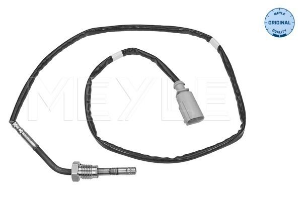 Sensor, Abgastemperatur