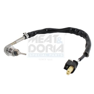 Sensor, Abgastemperatur Sensor, Abgastemperatur