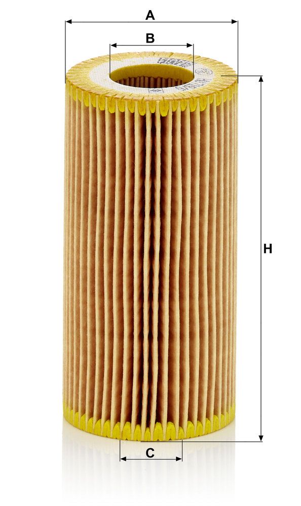 alyvos filtras