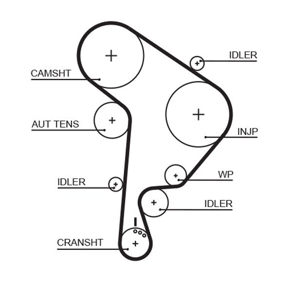 Timing Belt 5559XS