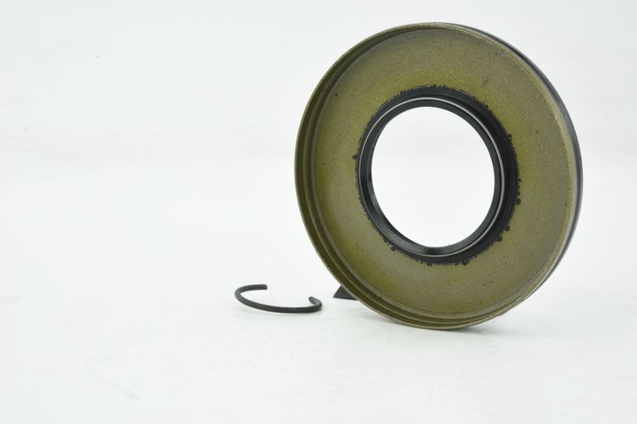 sandariklis, kardaninis velenas