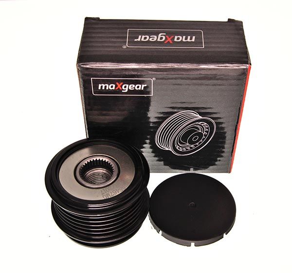 55467MG_3_LARGE.JPG