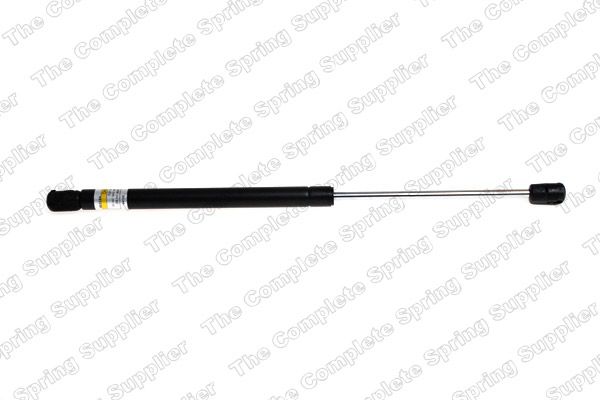 Gasfeder, Koffer-/Laderaum