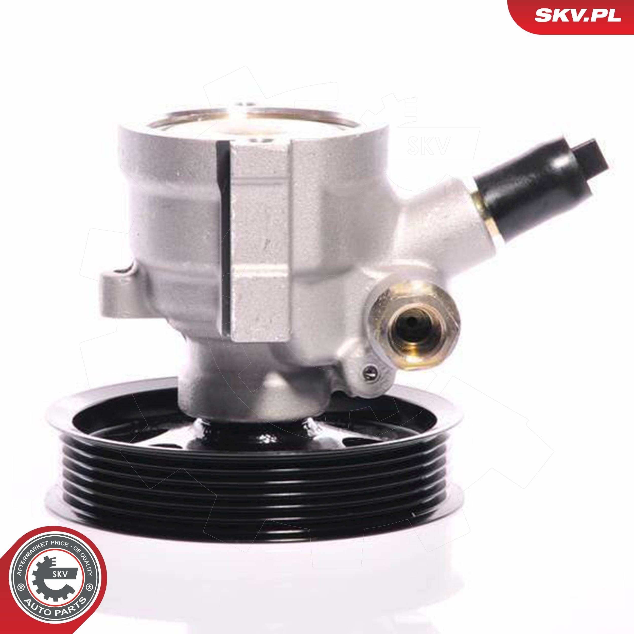 ESEN SKV 10SKV108 - Hydraulikpumpe, Lenkung