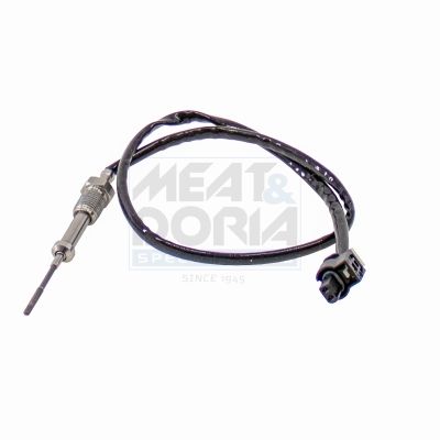Sensor, Abgastemperatur