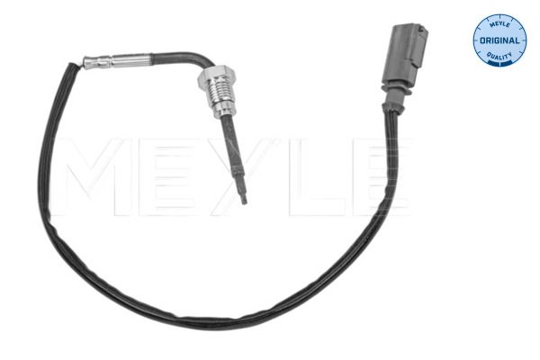 Sensor, Abgastemperatur
