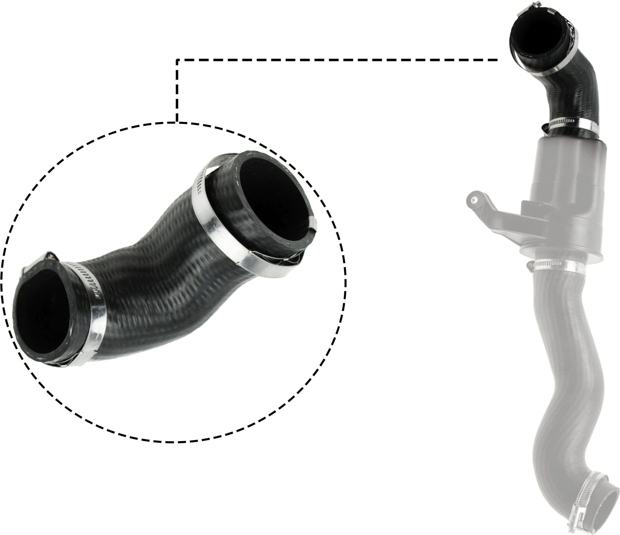 RAPRO R19575 - Ladeluftschlauch