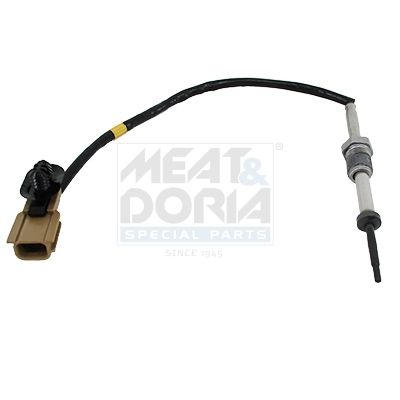 Sensor, Abgastemperatur