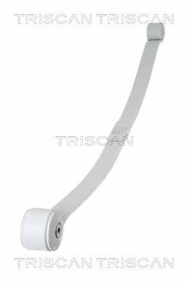 TRISCAN 8765 16048 Spring Pack