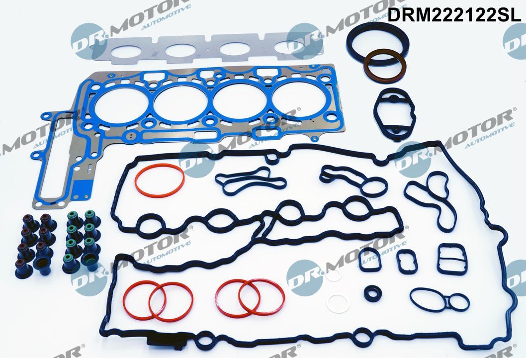 Dr.Motor Automotive DRM222122SL - Dichtungsvollsatz, Motor