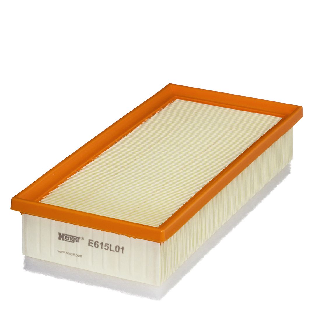 HENGST FILTER E615L01 - Luftfilter