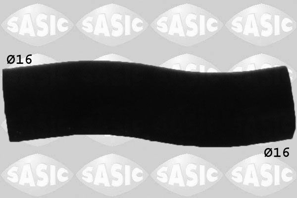 3406061.JPG