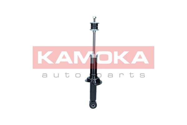 Shock Absorber 2001159