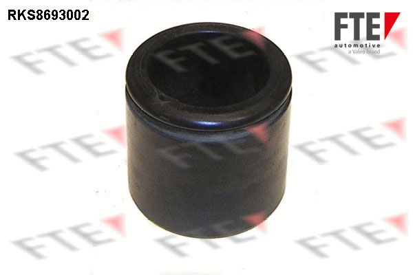RKS8693002 FTE dugattyú, féknyereg