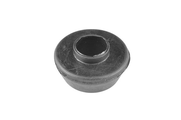 00442956-A.JPG