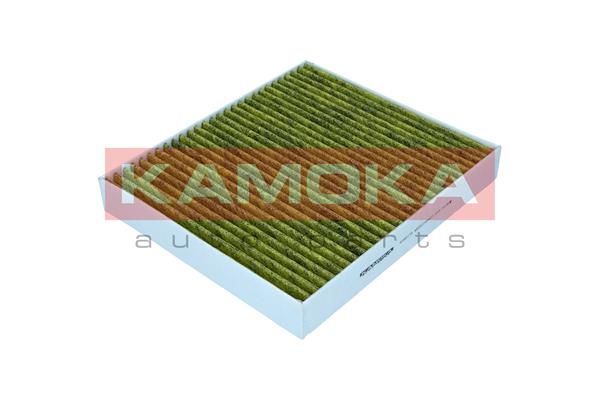 Filter, cabin air 6080179