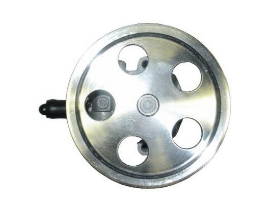 SPIDAN 54409 - Hydraulikpumpe, Lenkung