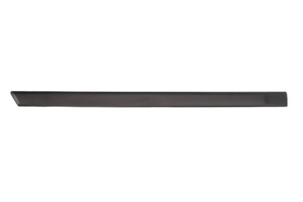 Trim/Protection Strip, wing 5703-04-2564478P