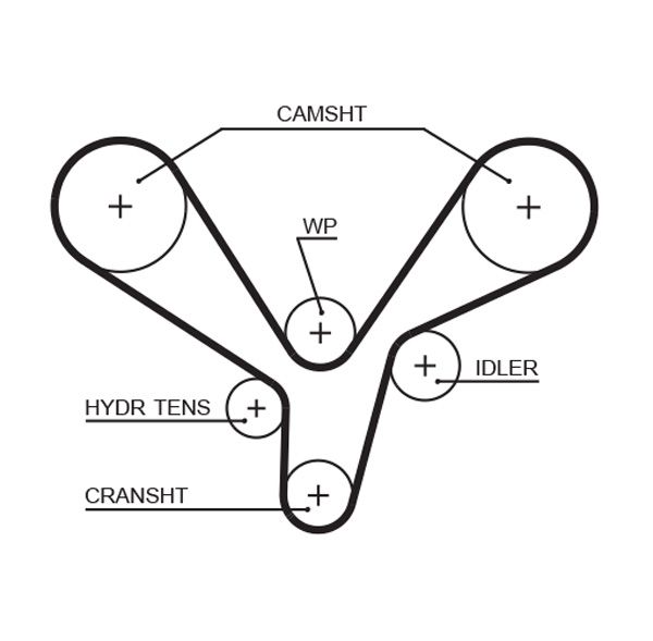 COURROIE DISTRIBUTION