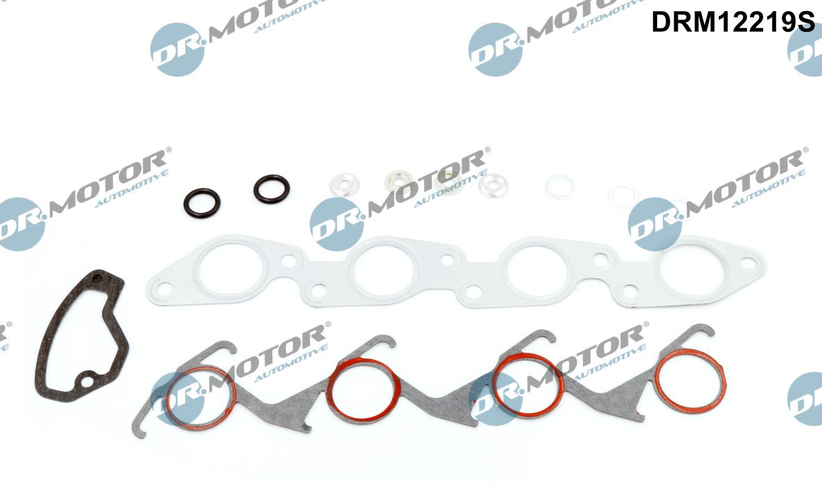 Dr.Motor Automotive DRM12219S - Dichtungsvollsatz, Motor