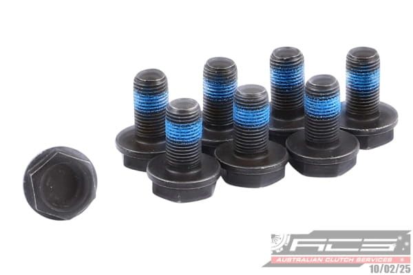 BOLT SET F/W AUDI 10x1.0x19.2 (6) 73Nm - TecDoc Only