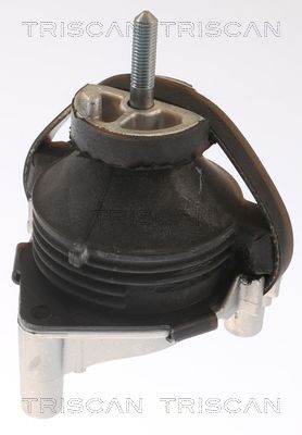 8505 65100 TRISCAN felfüggesztés, motor