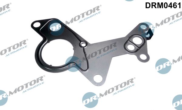Dr.Motor Automotive DRM0461 Gasket, vacuum pump