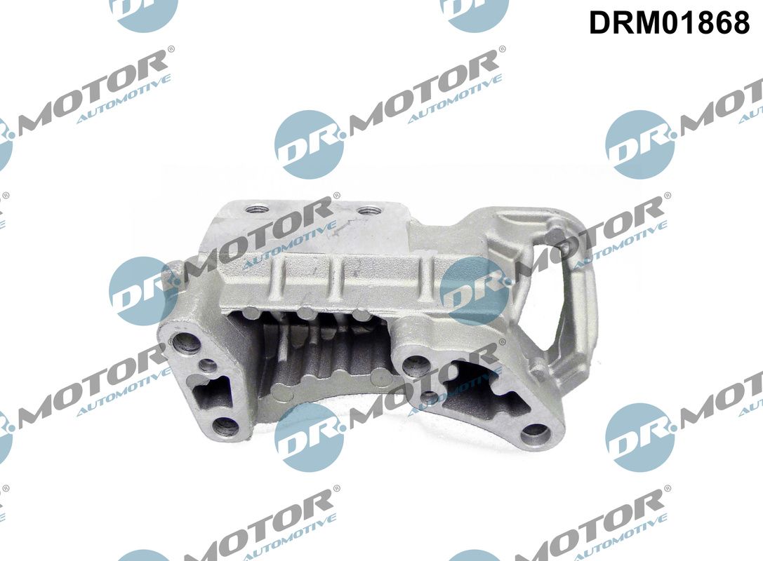 Dr.Motor Automotive DRM01868 - Lagerung, Motor