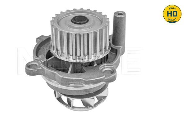 FS_1130120033HD_2.JPG