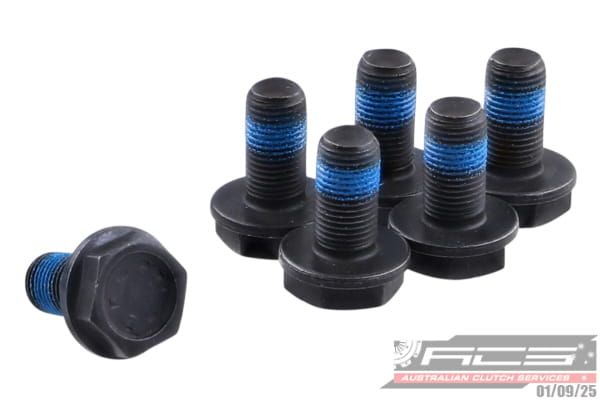 BOLT SET F/W VW 10x1.0x18.9 (6) 73Nm - TecDoc Only