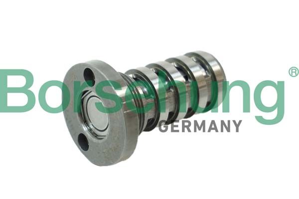 Borsehung B12123 Zentralventil, Nockenwellenverstellung