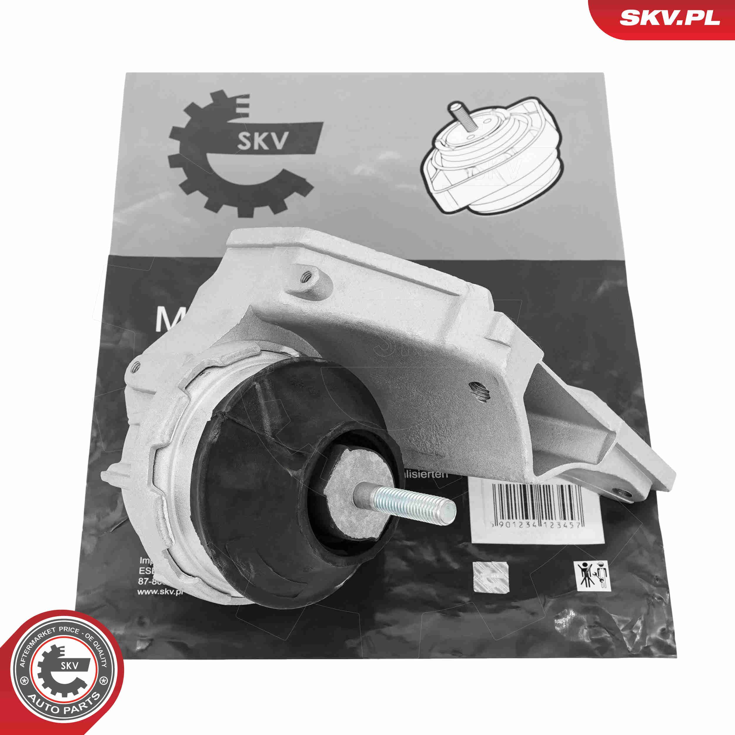 ESEN SKV 75SKV196 - Lagerung, Motor