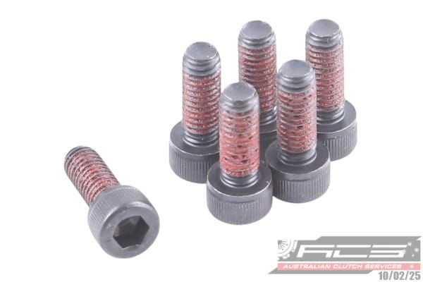BOLT SET P/P AUDI 6x1.0x16 (6) 18Nm - TecDoc Only