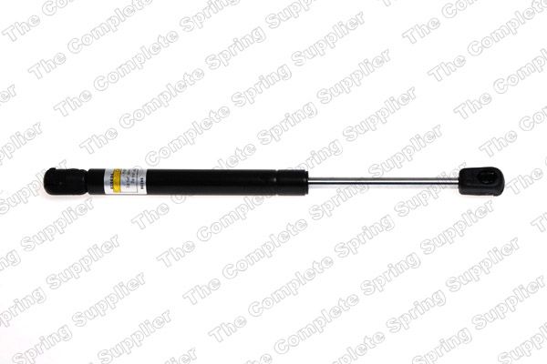 Gasfeder, Koffer-/Laderaum