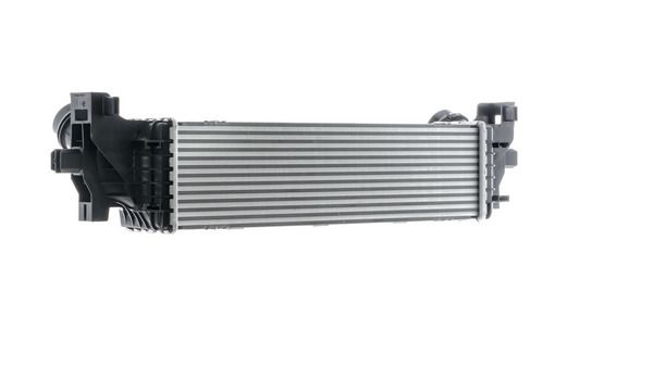 600514893.JPG