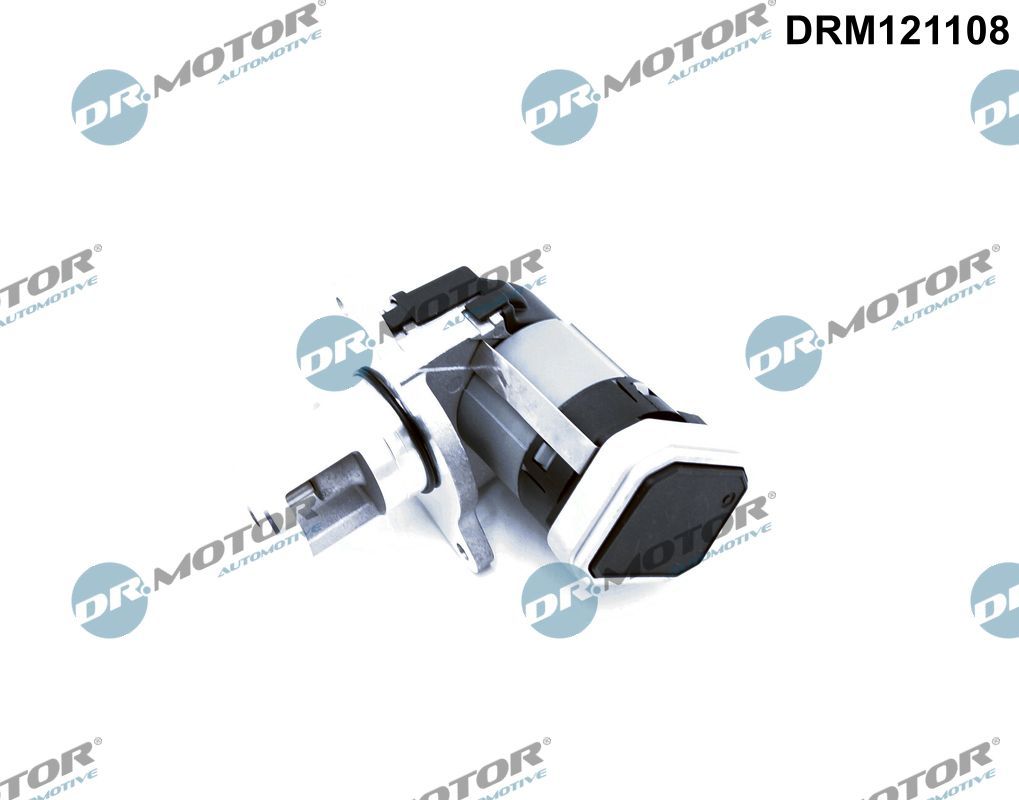 EGR Valve DRM121108